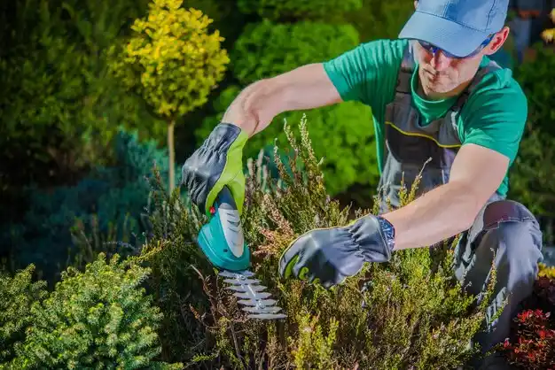 landscaping services Minerva